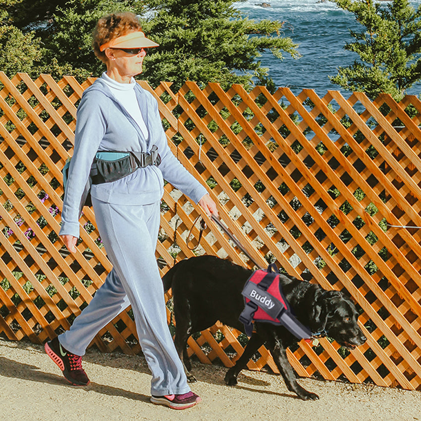 Reliable Dog Harness