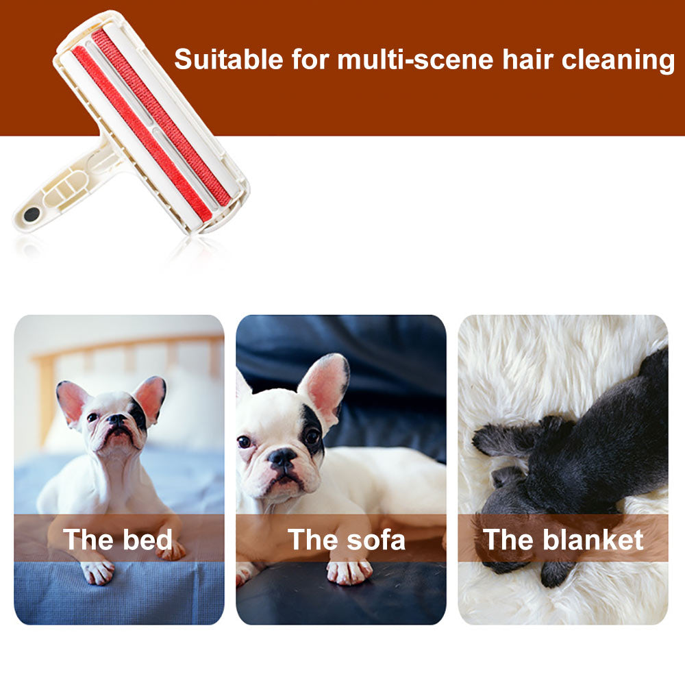 Pet Hair Cleaning
