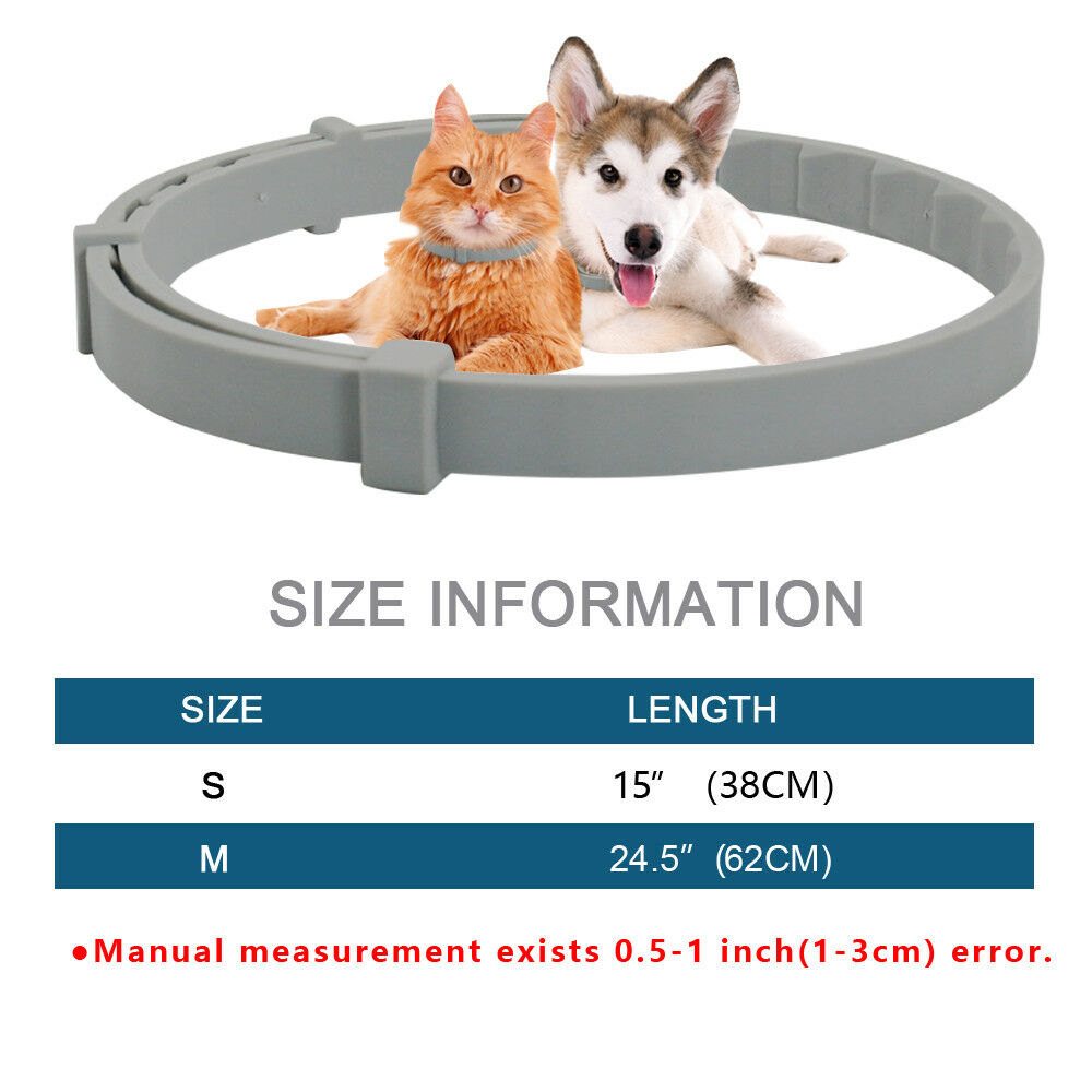 Flea And Tick Collar