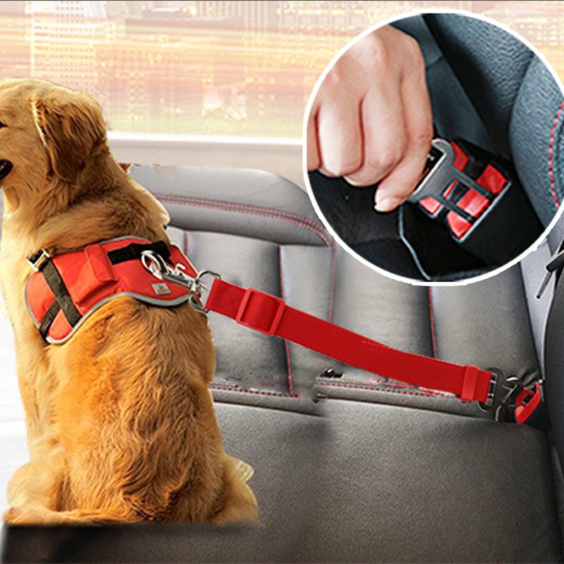 Pet Seat Belt